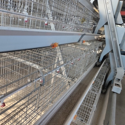 2024 Q235 A-Type Automatic Chicken Coops Layer Battery Cage System For Capacity Poultry Farms