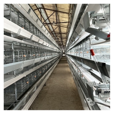 Hot Galvanized Automatic Layer Cage Broiler Cage For Farm Equipment Automatic Chicken Cage  System