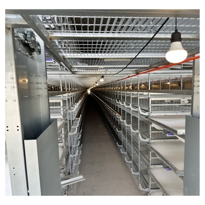 Hot Dip Galvanize Steel H Type Poultry Farm Equipment Battery Layer Automatic Chicken Cage With Egg Laying System