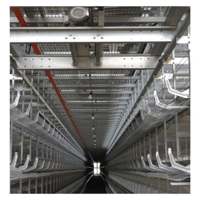 Hot Dip Galvanize Steel H Type Poultry Farm Equipment Battery Layer Automatic Chicken Cage With Egg Laying System