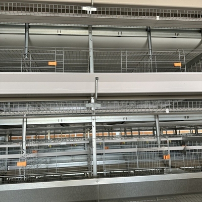 Hot Dip Galvanize Steel H Type Poultry Farm Equipment Battery Layer Automatic Chicken Cage With Egg Laying System