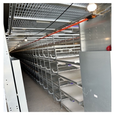 Hot Dip Galvanize Steel H Type Poultry Farm Equipment Battery Layer Automatic Chicken Cage With Egg Laying System