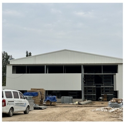 Hot Dip Galvanize Steel H Type Poultry Farm Equipment Battery Layer Automatic Chicken Cage With Egg Laying System