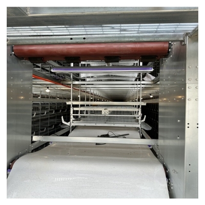 H Type Automatic Chicken Egg Layer Chicken Cage Laying Hens Cage Poultry Farm Equipment