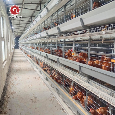High-Capacity 4-8 Tier Automatic Poultry Cage - Hot Galvanized Steel & Egg Harvesting System
