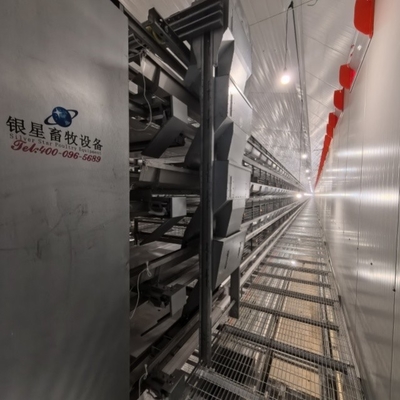 High-Capacity 4-8 Tier Automatic Poultry Cage - Hot Galvanized Steel & Egg Harvesting System