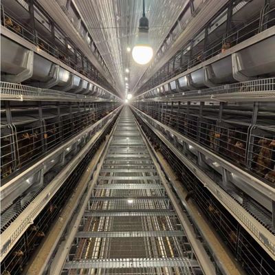 Battery Layer Cages hot-dip galvanized steel for Poultry Farm Egg Chicken Cage Equipment