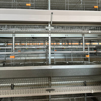 Full Automatic Hot-Dip Galvanized Battery Chicken Cage for Large Poultry Farm Project with 3-8 Tiers