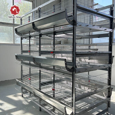 Automatic Layer Chicken Cage Equipment Battery Cage System for Layer Chickens