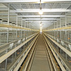 50000 Birds 5tiers Battery Chicken Cage Equipment Laying Hens Use ISO9001 Approval