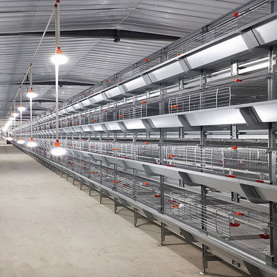 Fully Automatic H-Type Broiler Chicken Cage System with Auto Feeding & Cleaning for High Density Commercial Meat Chicken Farms