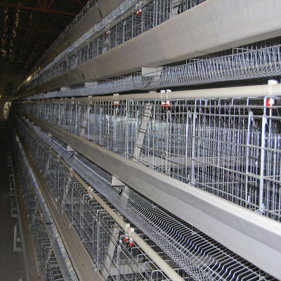 Battery Cage System For Laying Hens With Hot-dip Galvanization