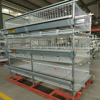 Automated H-Type Broiler Cage System Hot-Dip Galvanized High-Density Commercial Poultry Farming Equipment