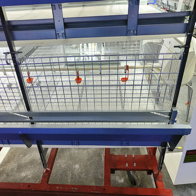 H Type Automatic Cages For Housing Baby Poultry Broiler Chickens