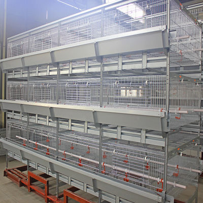 Automated H-Type Broiler Cage System with Hot-Dip Galvanized Steel for High-Density Poultry Farming