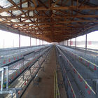 Hot Dip Galvanized Poultry Cages For Chicken Farms Baby Chickens