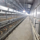 HDG Chicken Cage Equipment , 3 Or 4 Layers Poultry Battery Cage