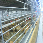 HDG Chicken Cage Equipment , 3 Or 4 Layers Poultry Battery Cage