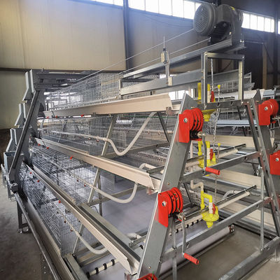 380V 50HZ Automatic Broiler Equipment For Chicken Houses Has Received SONCAP Approval.