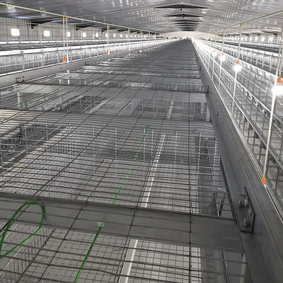 Automatic Broiler Equipment For Chicken House, Certified Under SONCAP, 380V 50HZ