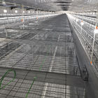 SONCAP 1 To 45 Days Battery Cage For Broilers Modern A / H Frame