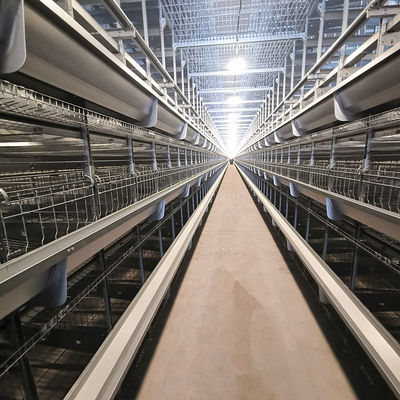 Automatic Broiler Equipment For Chicken House, Certified Under SONCAP, 380V 50HZ