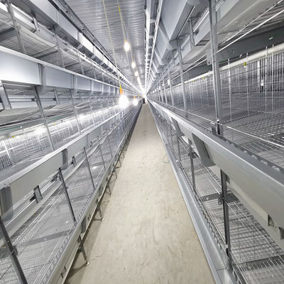 380V 50HZ Automatic Broiler Equipment For Chicken House, Compliant With SONCAP