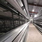 Mechanical Poultry Egg Production Equipment Q235 Low Carbon Hot Galvanizing