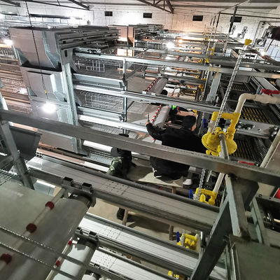 H-Type Automatic Battery Cage System with Hot Dip Galvanizing and Stackable Modular Design for Commercial Meat Chicken Cage