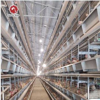 Automatic Layer Cage System With Ventilation 4 Levels Capacity For 120 Chickens