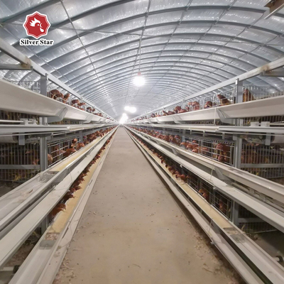 Automatic Layer Cage System With Ventilation 4 Levels Capacity For 120 Chickens