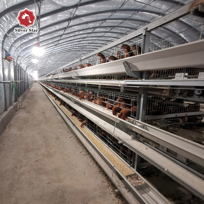 Automatic Layer Cage System With Ventilation 4 Levels Capacity For 120 Chickens