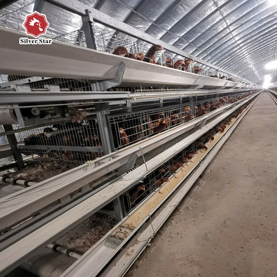Automatic Layer Cage System With Ventilation 4 Levels Capacity For 120 Chickens