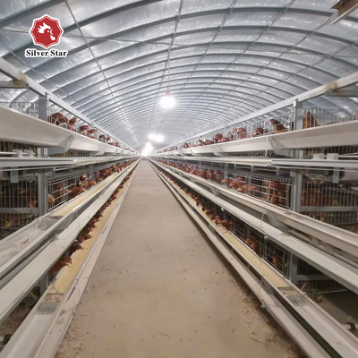 A Type H Type Battery Layer Chicken Cages Automatic Egg Poultry Farming Equipment System