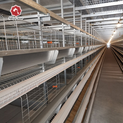Automatic Layer Cage System With Ventilation 4 Levels Capacity For 120 Chickens