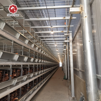 Featuring Four Tiers Ventilated Automatic Layer Cage System  For 120 Birds In Battery Cages.