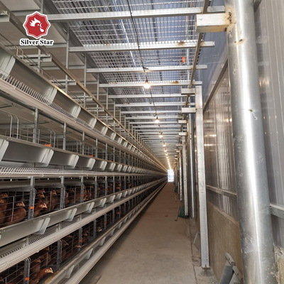 Featuring Four Tiers Ventilated Automatic Layer Cage System  For 120 Birds In Battery Cages.
