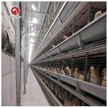 Q235 Galvanized Chicken Raising Equipment H Type Laying Hens Poultry Chicken Cage For Layers