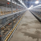 110 Days Baby Chicken Galvanized Multi Poultry Broiler Cage Chicken Raising