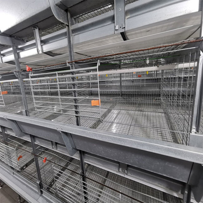 Q235 H Type Automatic Baby Chicks Cage For Layers Pullet Cage Day Old Chicks Cage