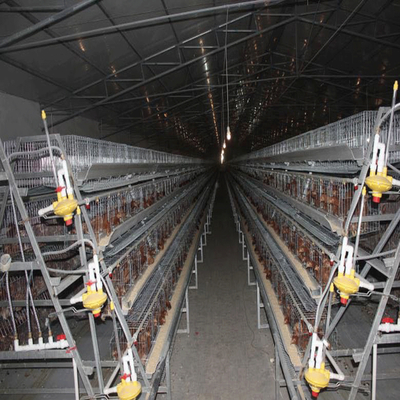 A Frame Chicken Egg Layer Cages Full Automatic System
