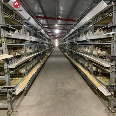 نظام قفص بطارية للدجاج النوع H التلقائي لمزارع دجاج اللحوم التجارية مع إطار معدني بالوقود الساخن وتكوين 3-4 مستويات