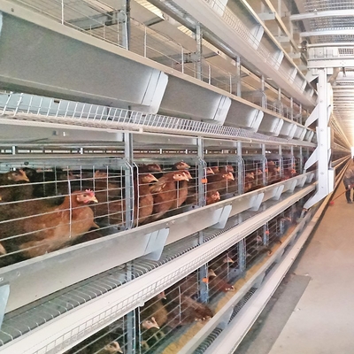 Designed For Laying Hens, This Poultry Farm House Layer Battery Cage , Ensuring Efficient Production