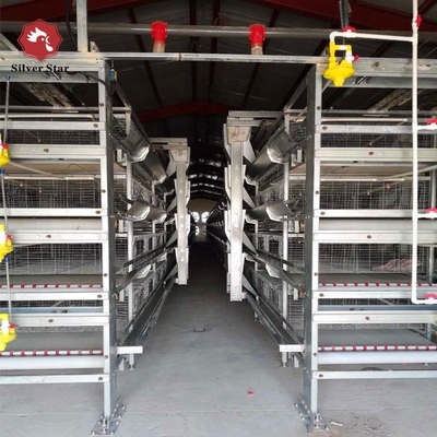 Poultry Farming Equipment Hot Galvanized H Type Automatic System Battery Broiler Chicken Cage