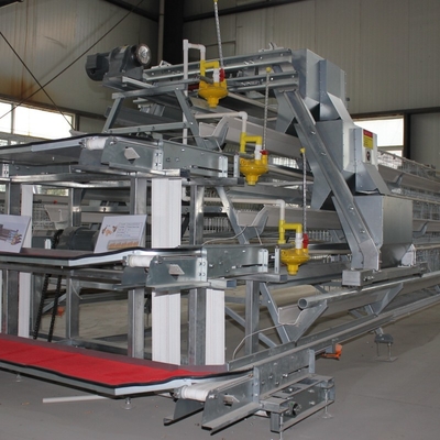Cheap Price A Type Chicken Laying Egg Cages
