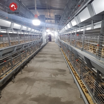 Hot Galvanized H Type Chick Brooder Cage 5 Tiers 170 Birds