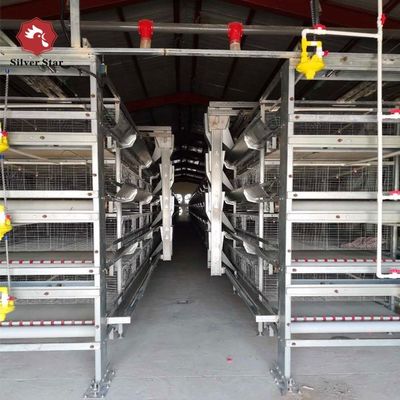 Automated H-Type Broiler Cage System - Hot-Dip Galvanized High-Density Commercial Poultry Farming Equipment