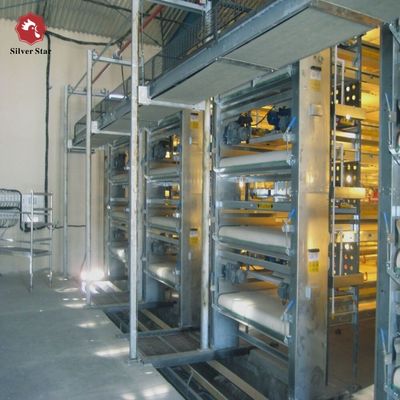 نظام قفص شواء اللحوم من النوع H المصمم بدقة | معدات إنتاج الدواجن التجارية عالية الإنتاجية