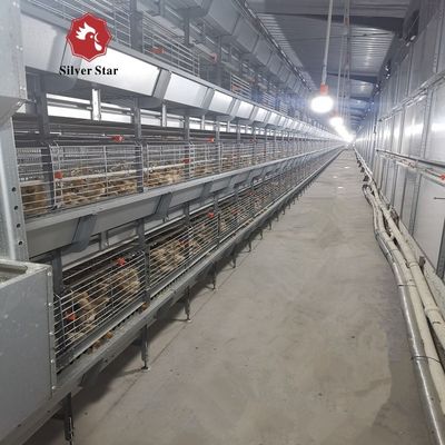 H Type Meat Chicken Cage System for High Density Broiler Farming
