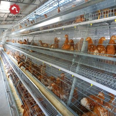 نظام قفص بطارية للطيور من النوع A للزراعة الدواجنية
